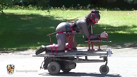 Orgasm On The Move